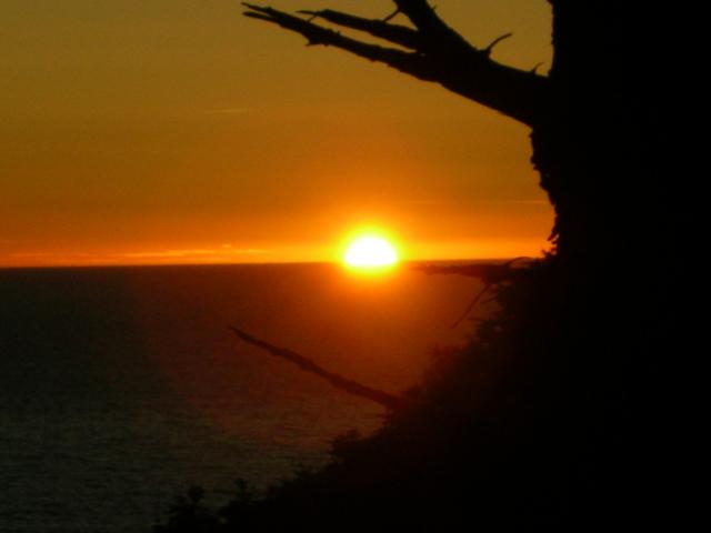 DSCN3524.jpg