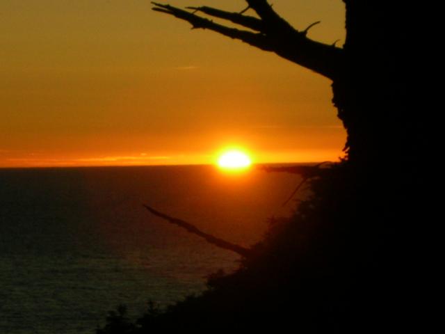 DSCN3525.jpg
