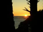 DSCN3526.jpg