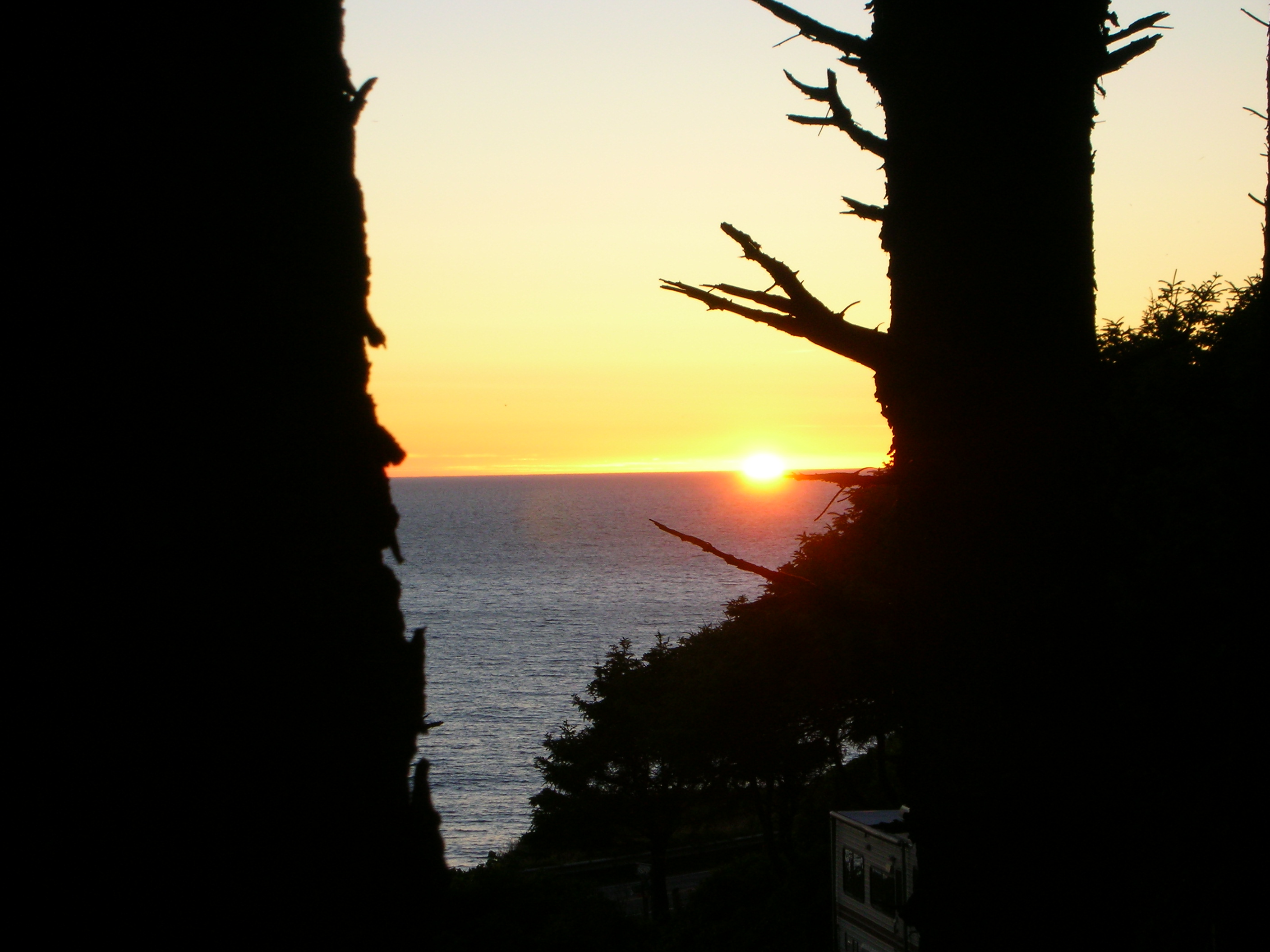 DSCN3527.jpg