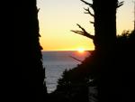 DSCN3527.jpg