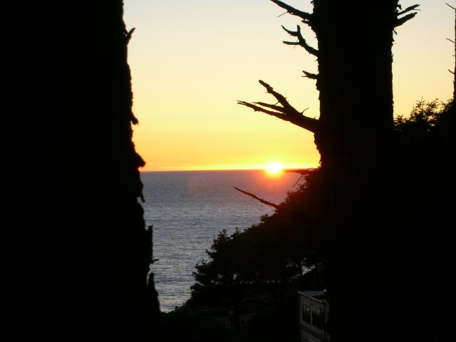 DSCN3527.jpg