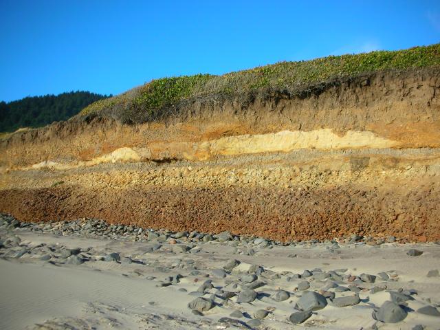 DSCN3528.jpg