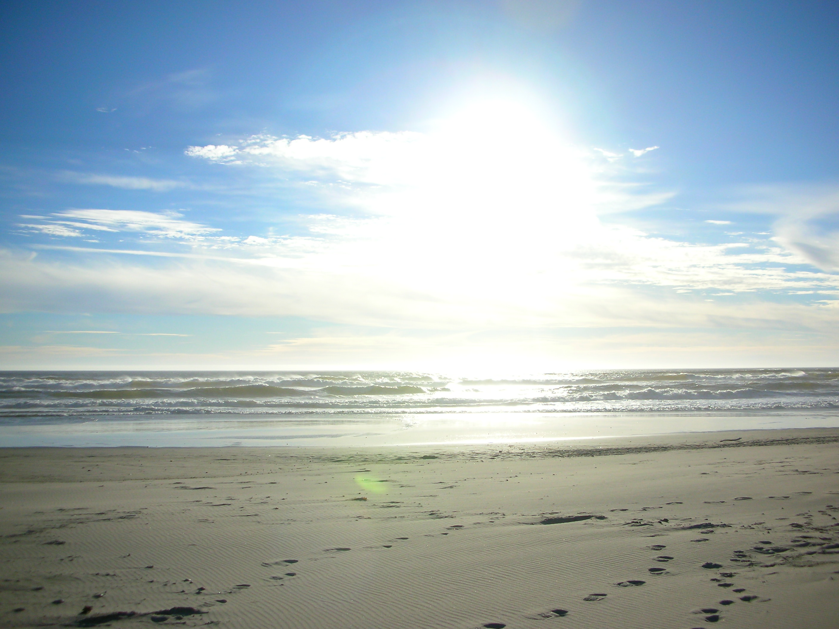 DSCN3530.jpg