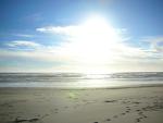 DSCN3530.jpg