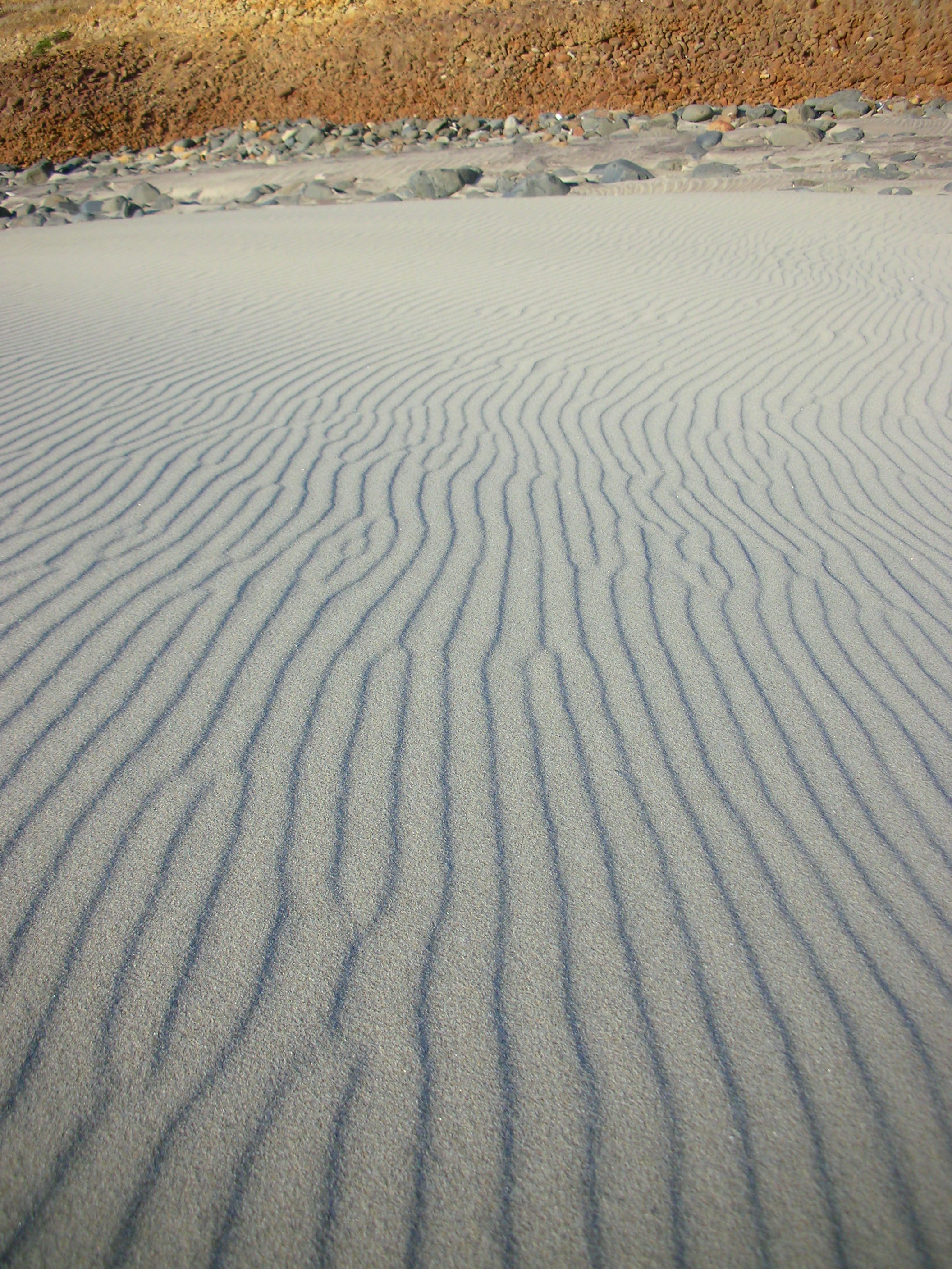DSCN3531.jpg