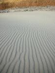 DSCN3531.jpg