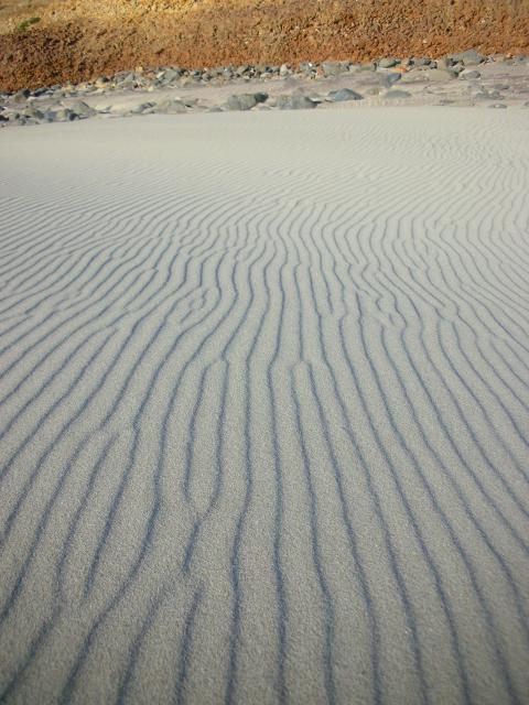 DSCN3531.jpg