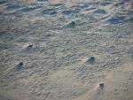 DSCN3533.jpg
