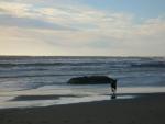 DSCN3534.jpg