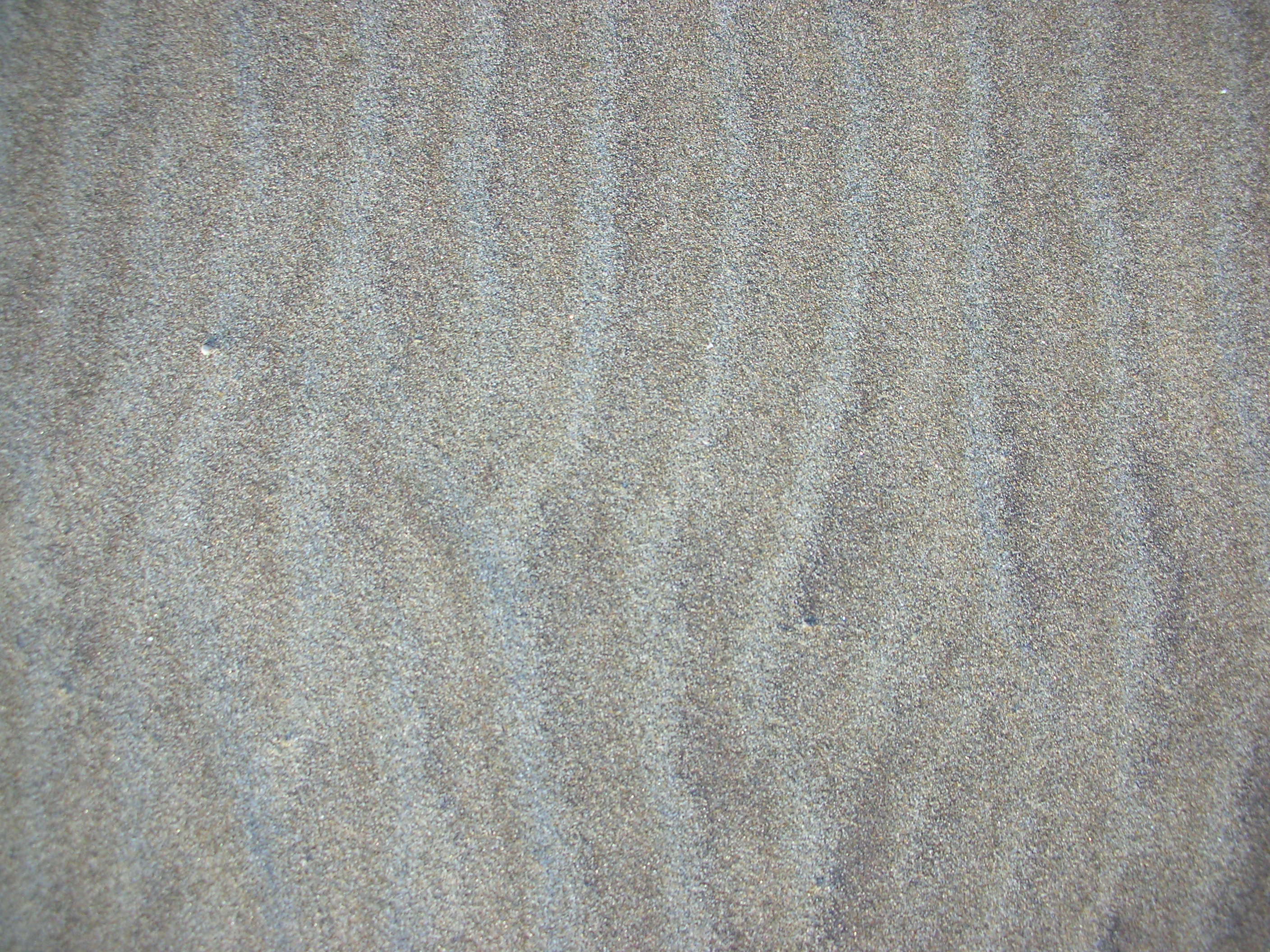 DSCN3537.jpg