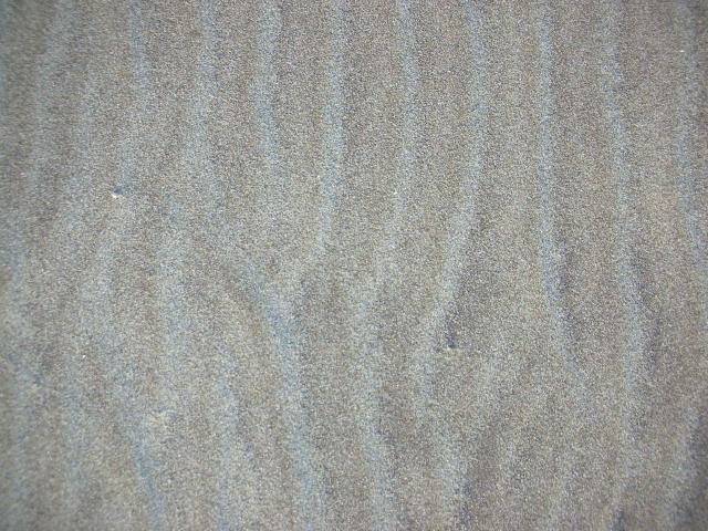 DSCN3537.jpg