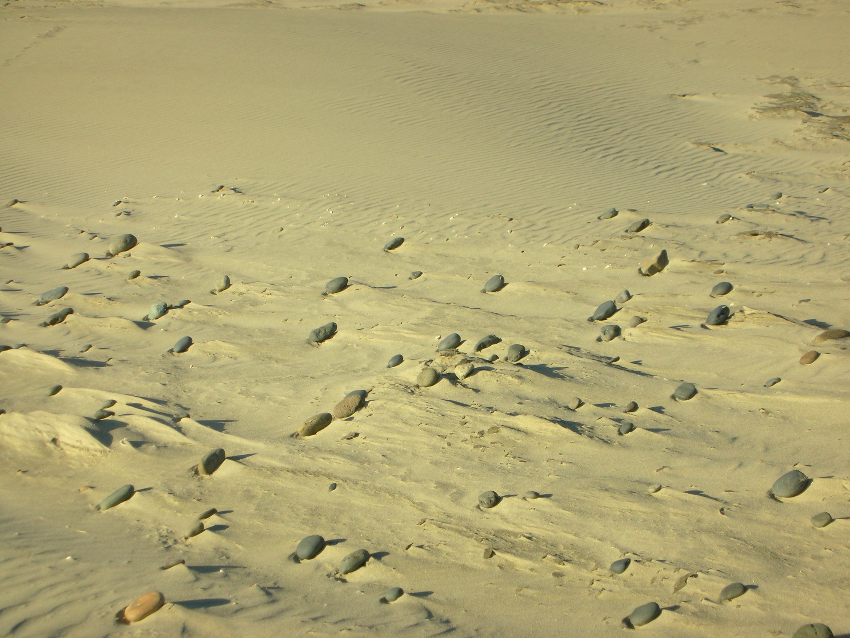 DSCN3538.jpg