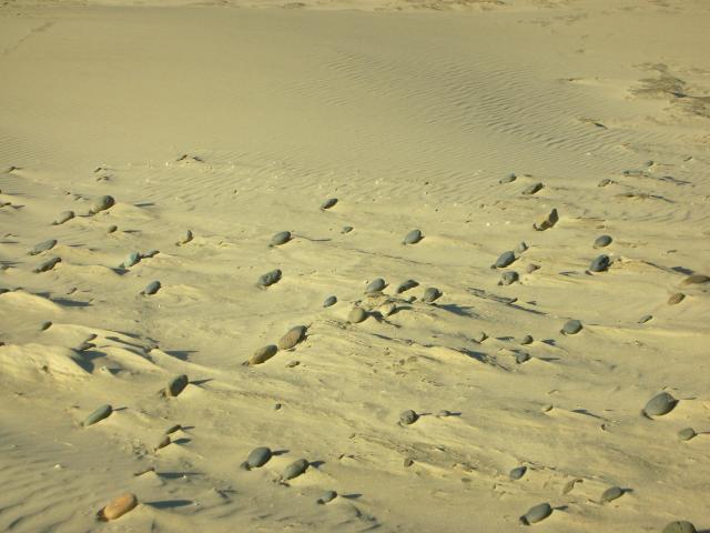 DSCN3538.jpg