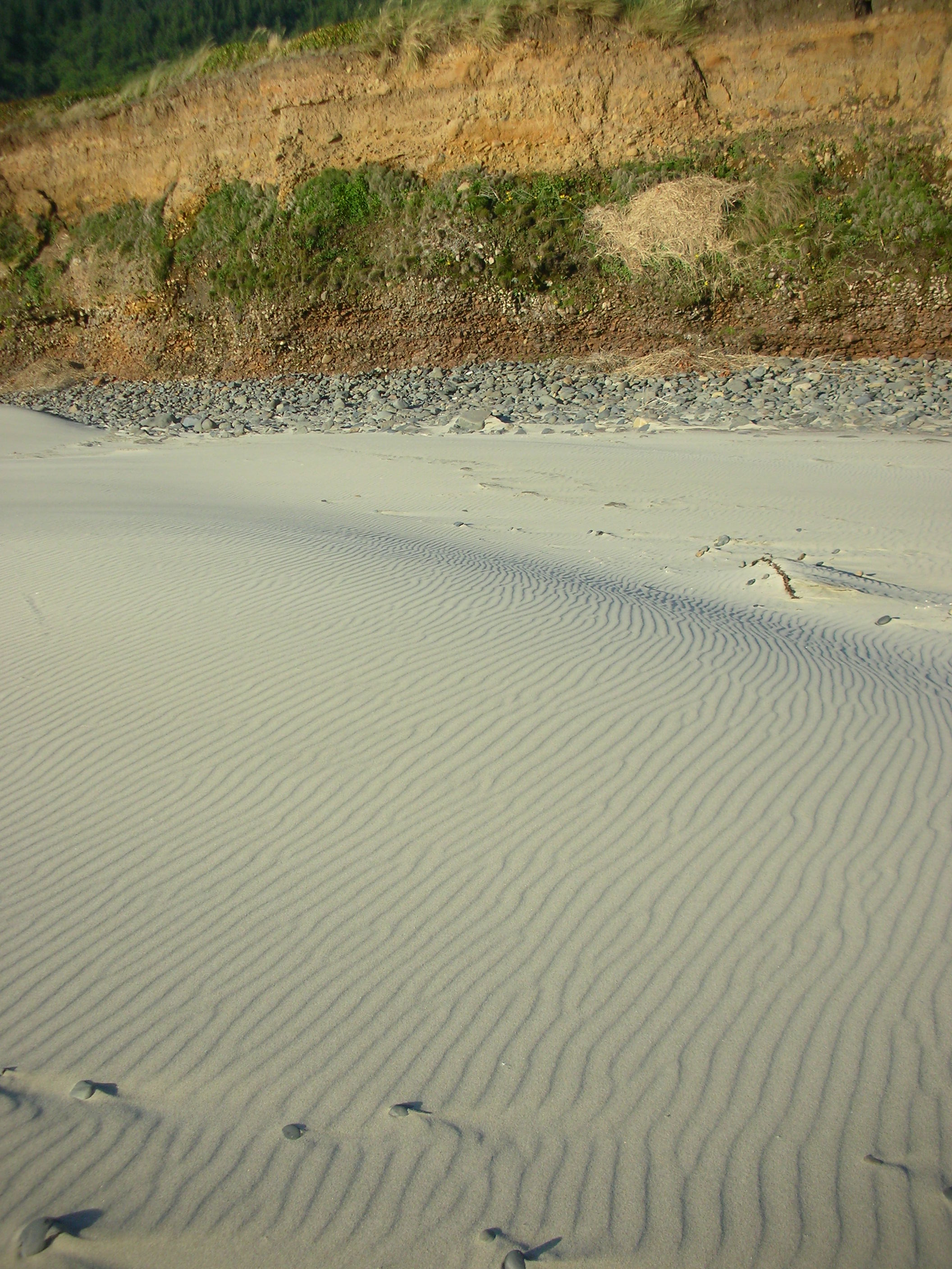 DSCN3539.jpg