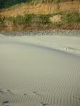 DSCN3539.jpg