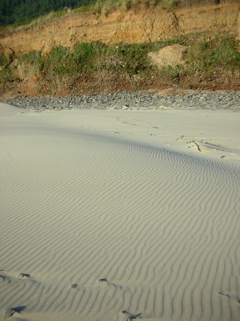 DSCN3539.jpg
