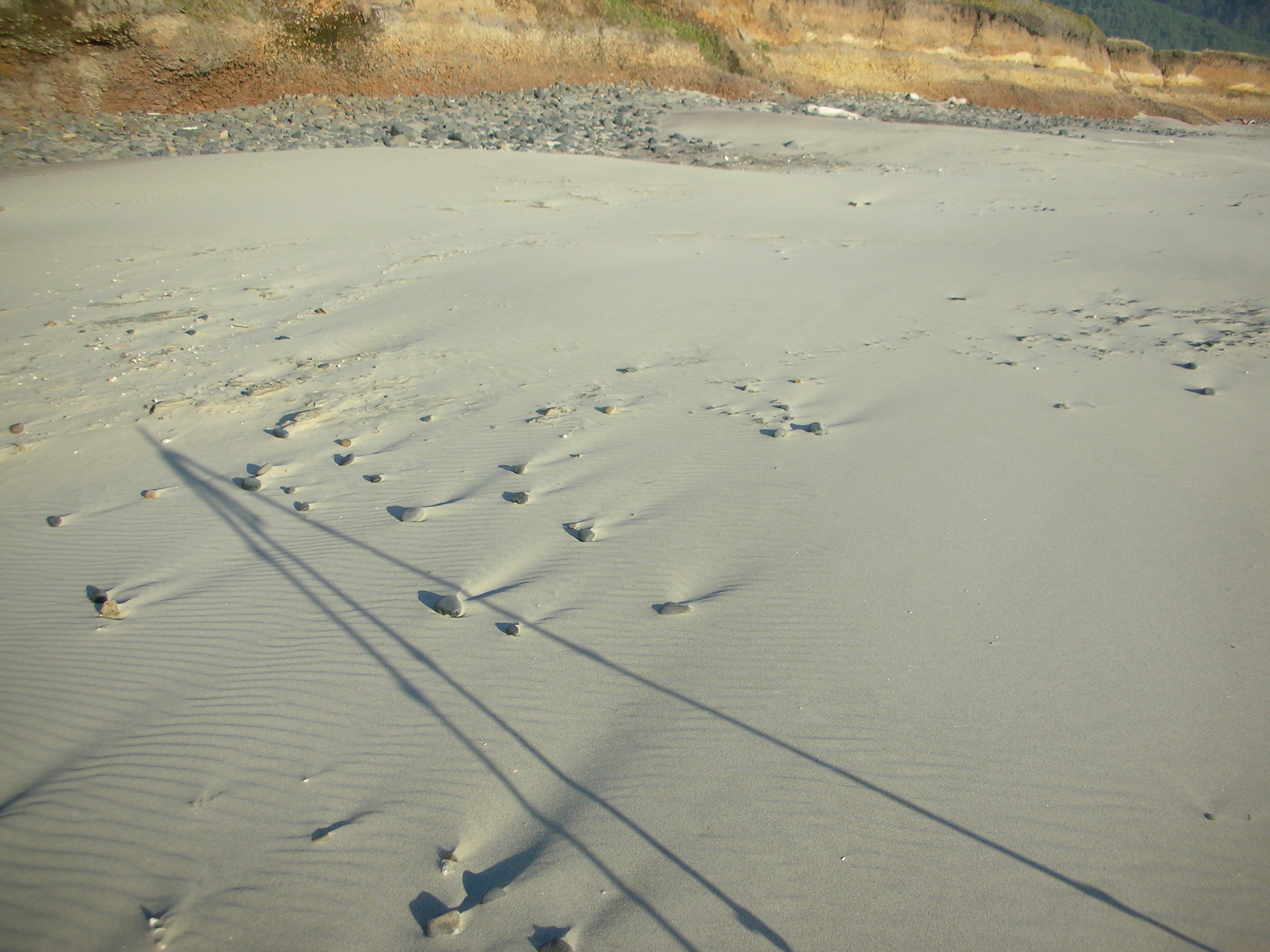 DSCN3540.jpg