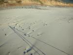 DSCN3540.jpg