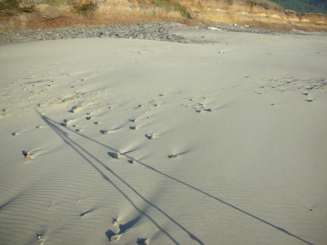 DSCN3540.jpg