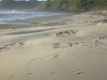 DSCN3543.jpg