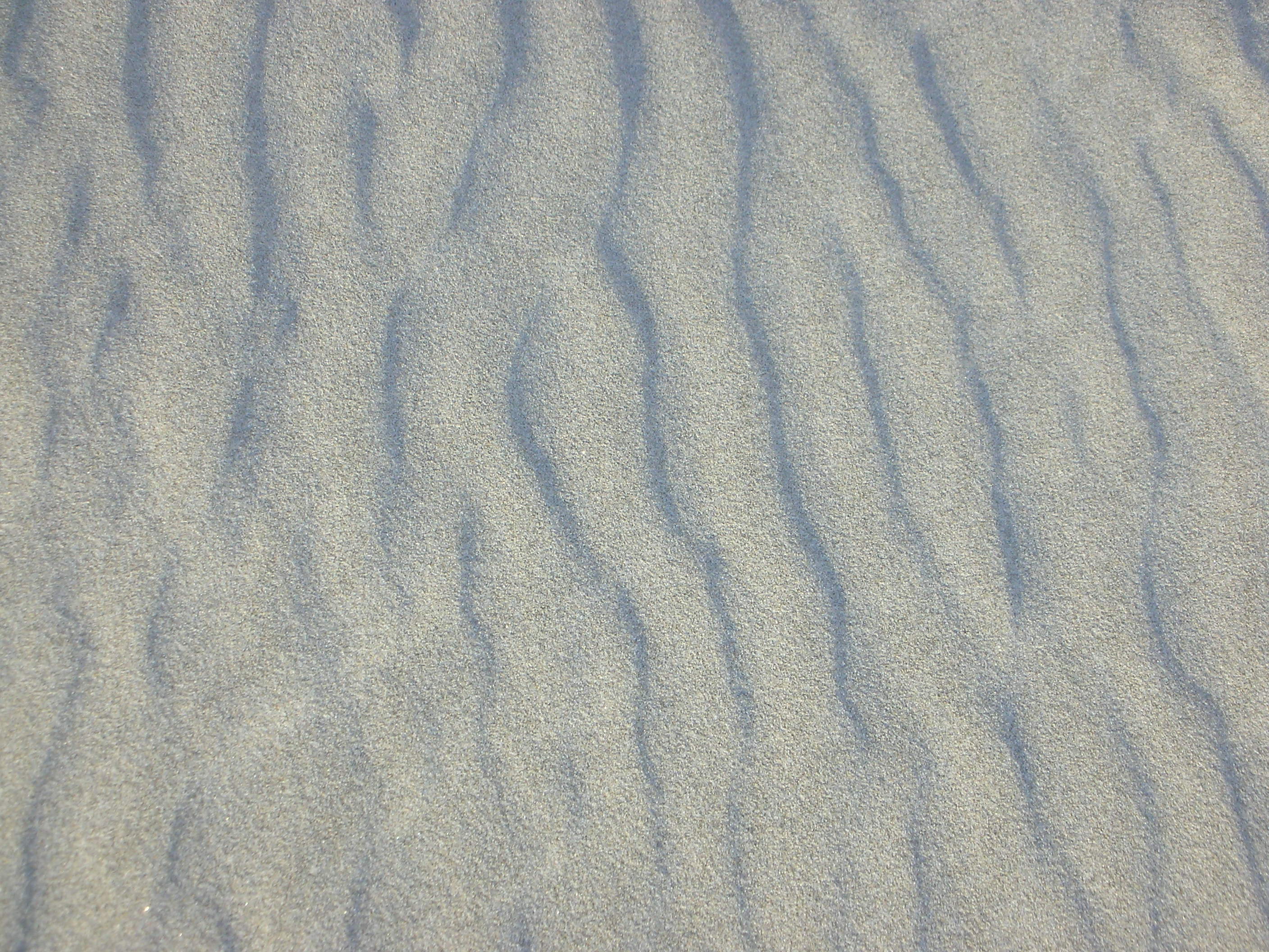 DSCN3544.jpg