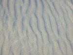 DSCN3544.jpg