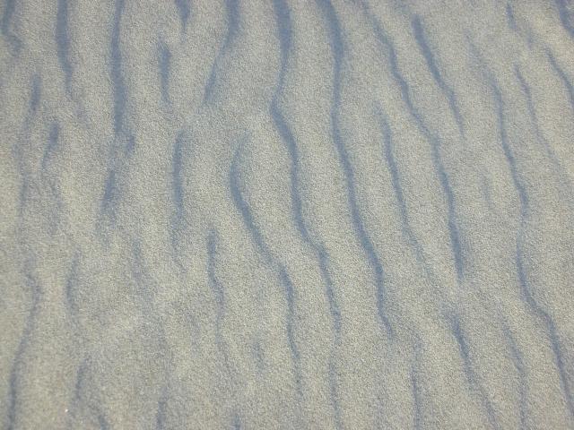 DSCN3544.jpg