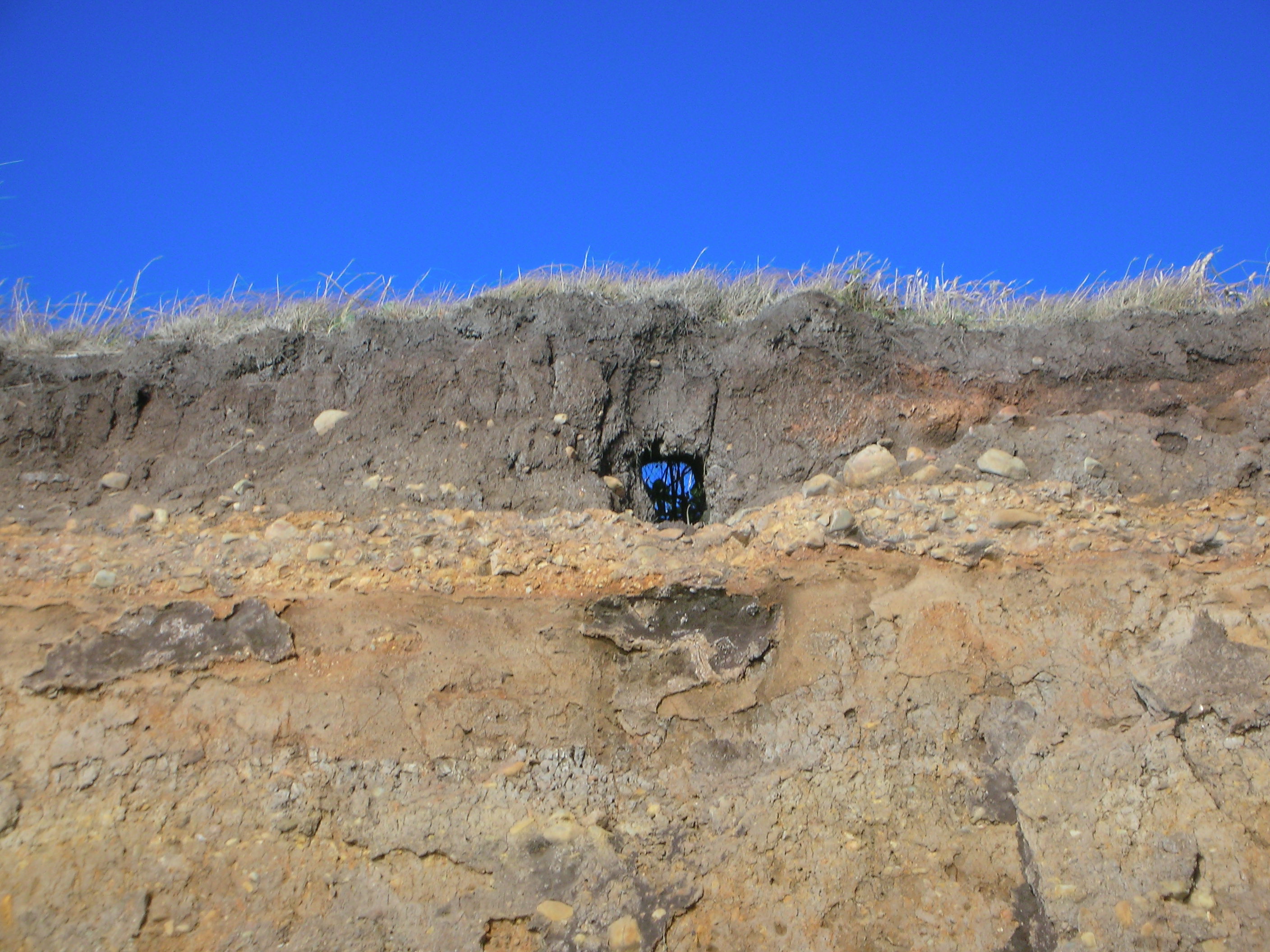 DSCN3546.jpg