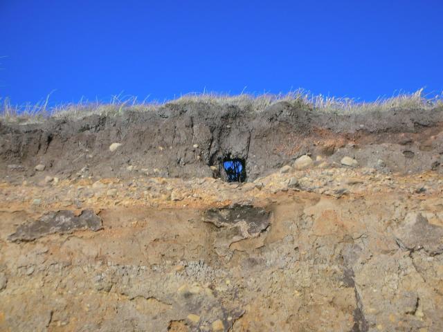 DSCN3546.jpg