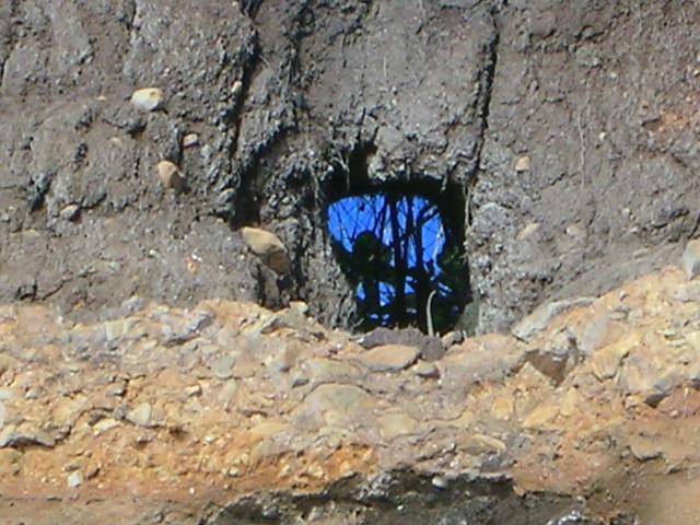 DSCN3547.jpg