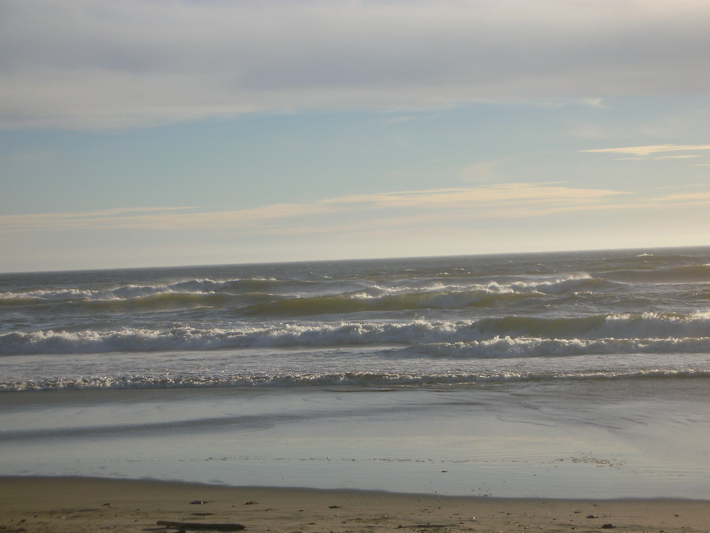 DSCN3548.jpg