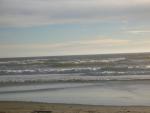 DSCN3548.jpg