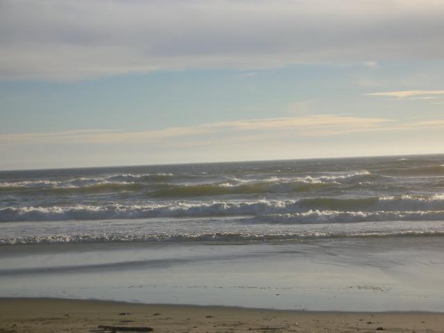DSCN3548.jpg