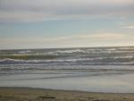 DSCN3549.jpg