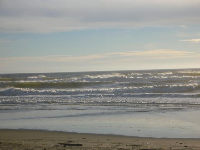 DSCN3549.jpg