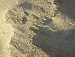 DSCN3551.jpg