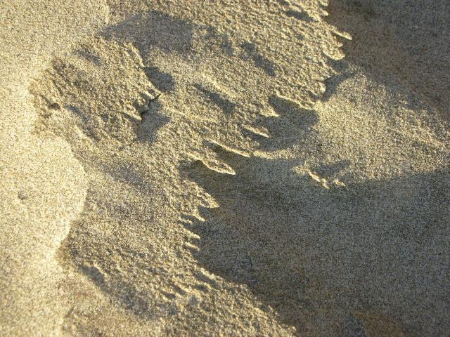 DSCN3551.jpg