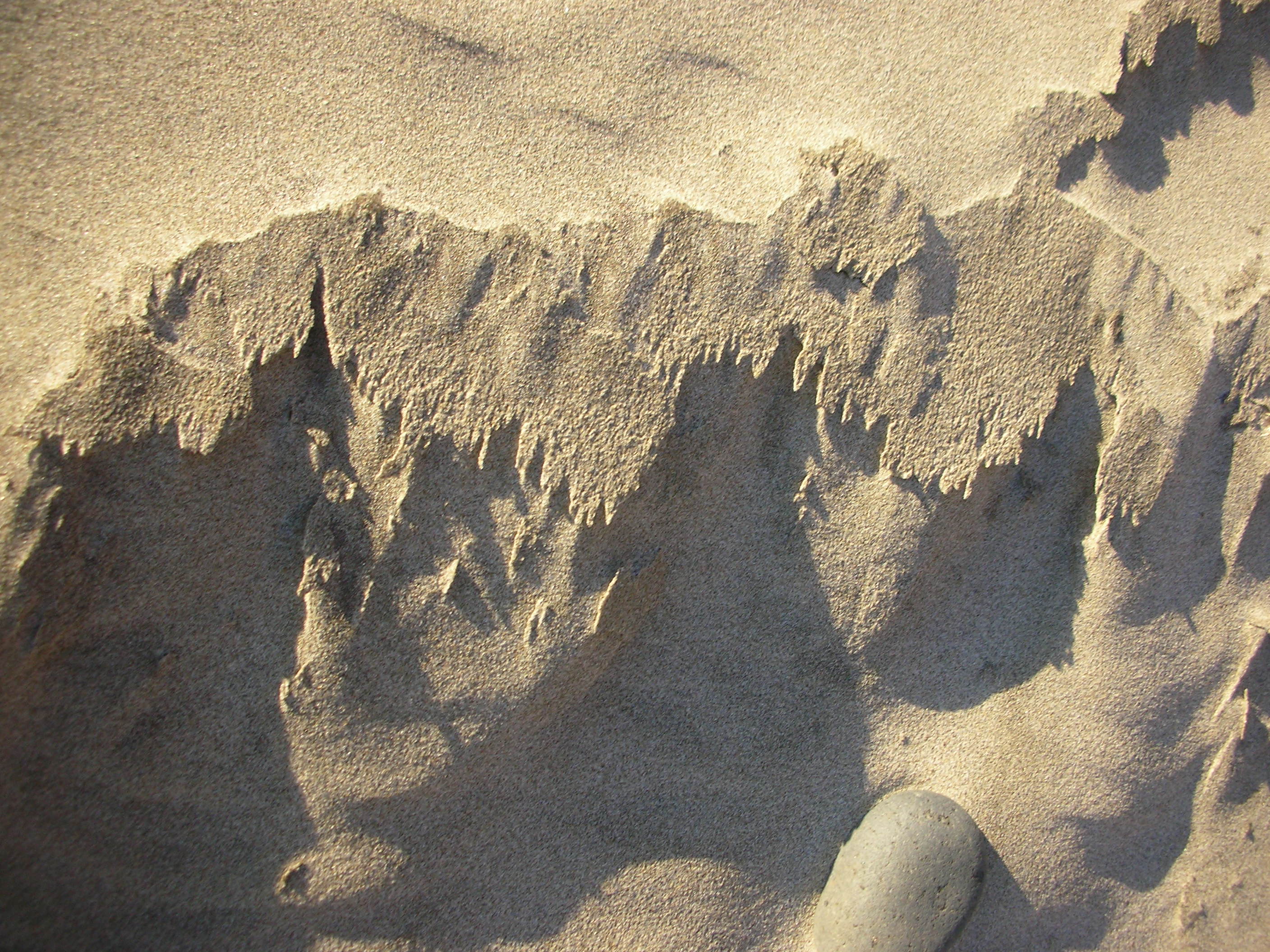 DSCN3552.jpg