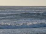 DSCN3555.jpg