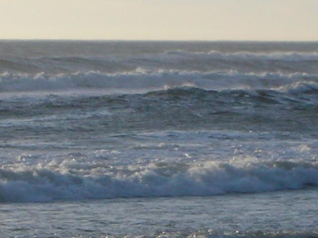 DSCN3555.jpg