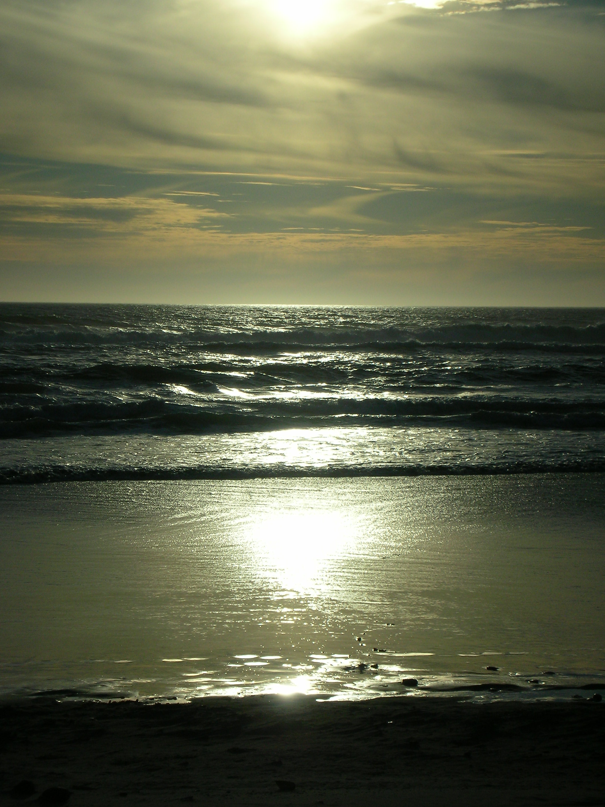 DSCN3556.jpg