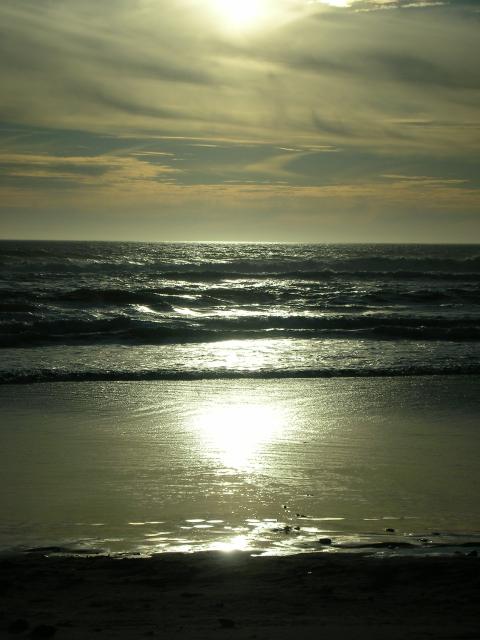DSCN3556.jpg