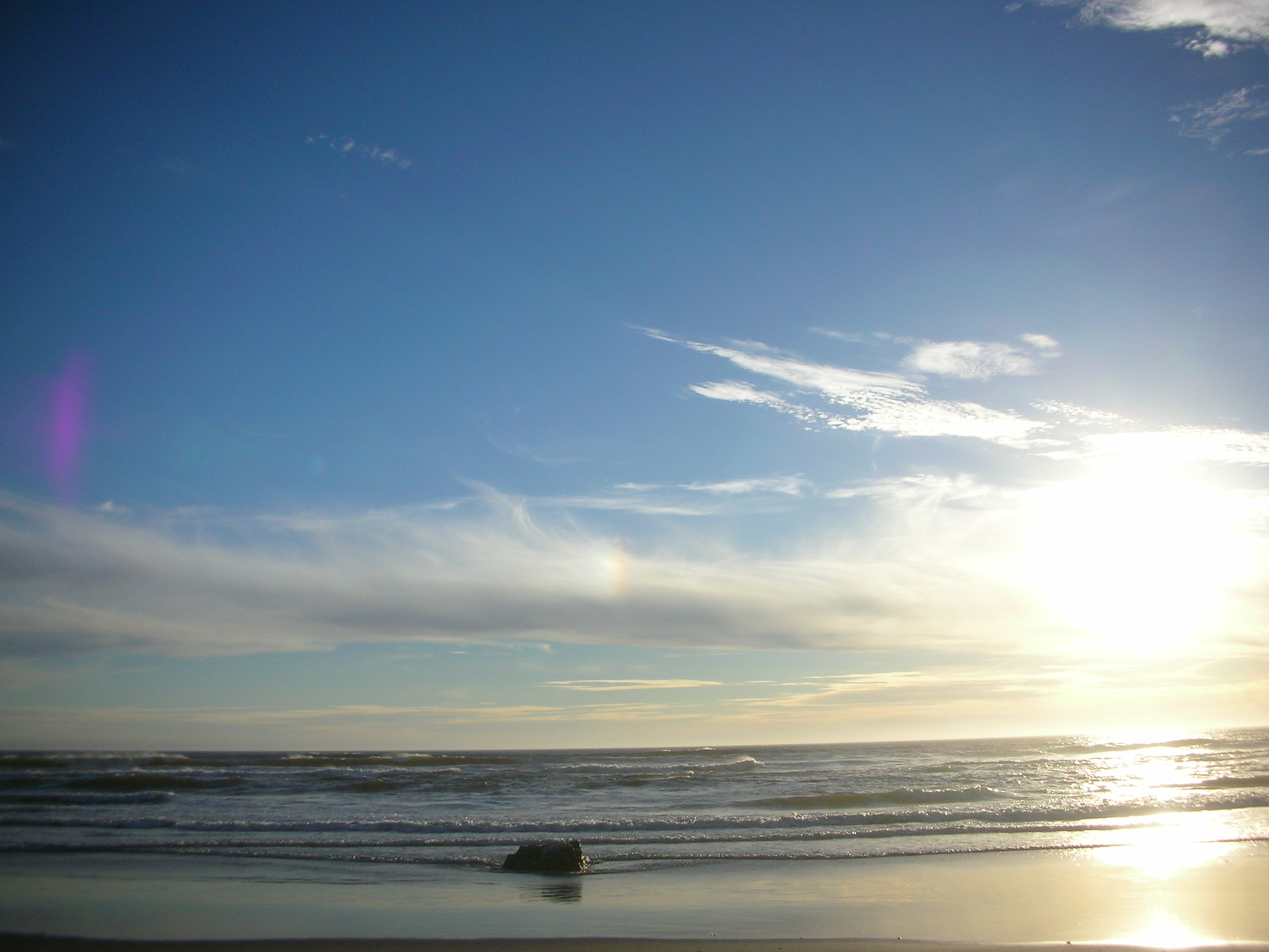 DSCN3557.jpg
