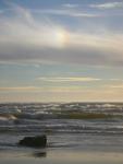 DSCN3558.jpg