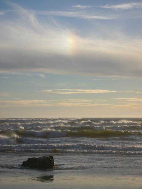 DSCN3558.jpg