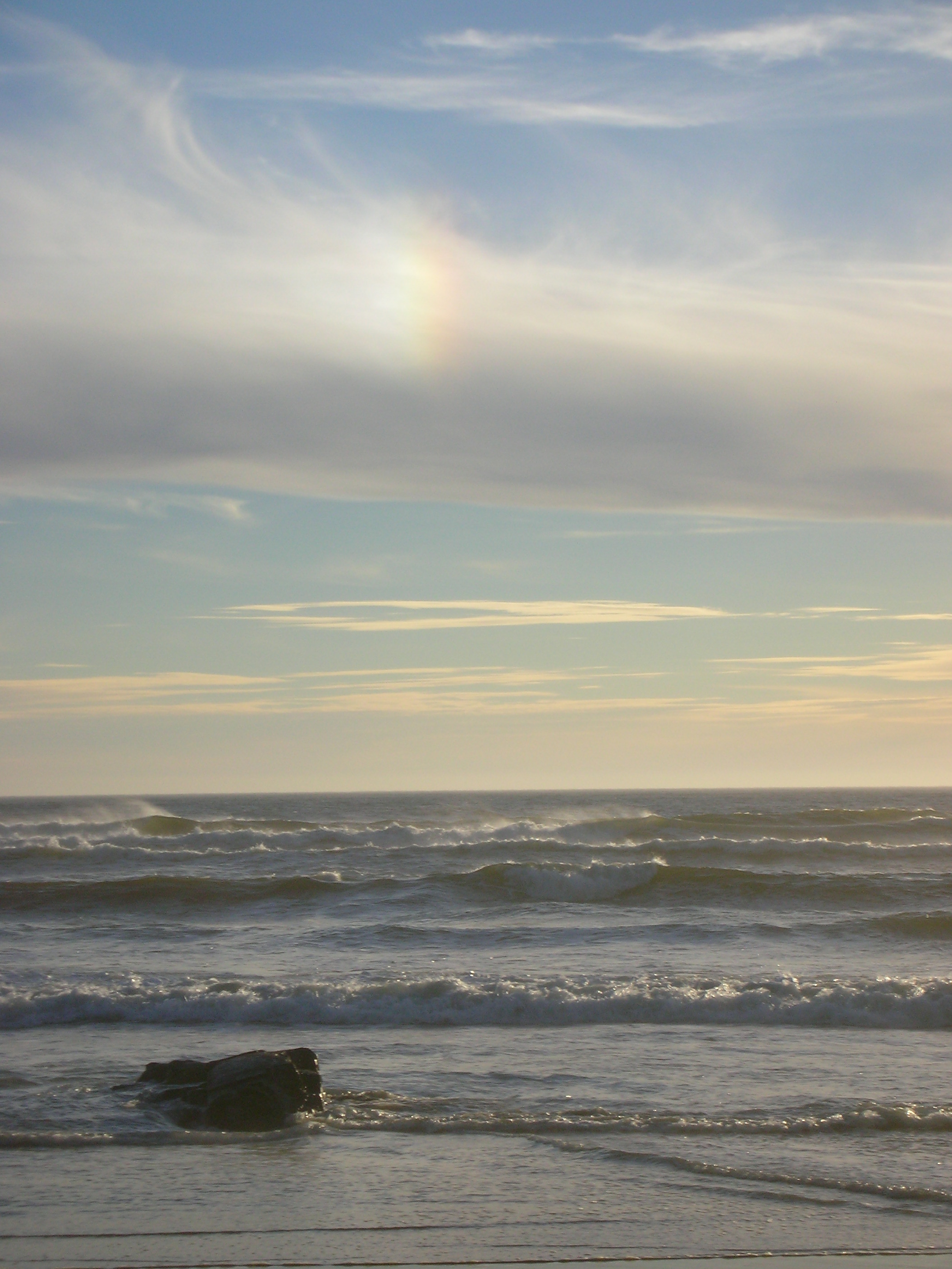 DSCN3559.jpg