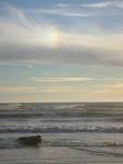 DSCN3559.jpg