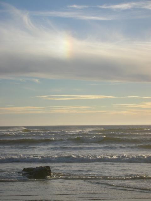 DSCN3559.jpg