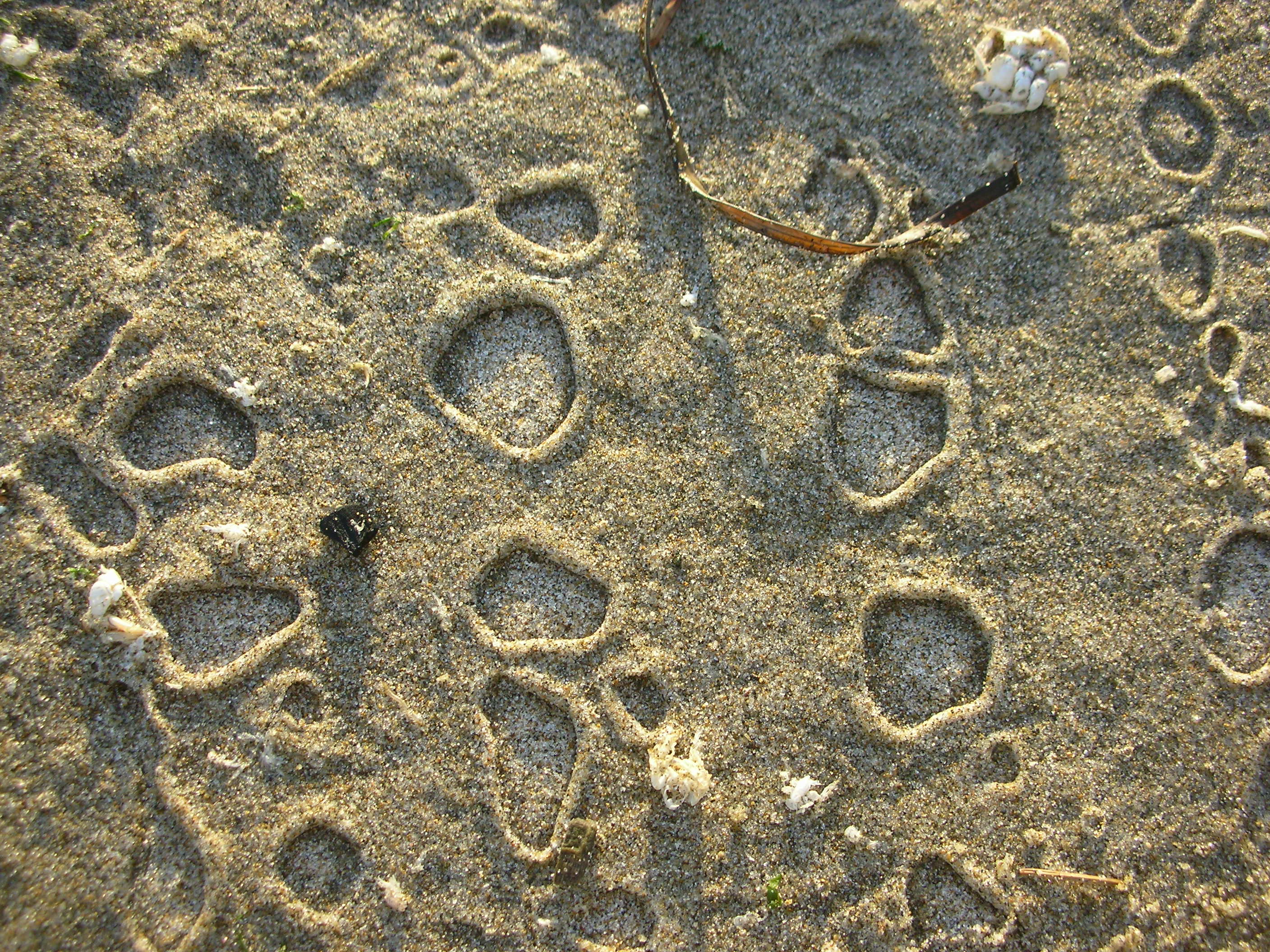 DSCN3560.jpg